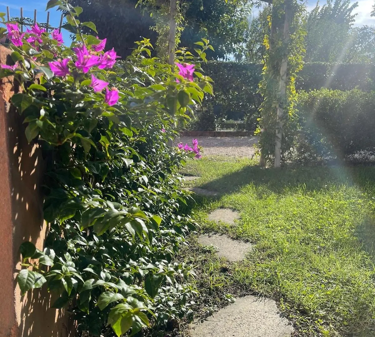 Holiday home Confortable Villa With Pool 4Br 6-8 People Montelimar France