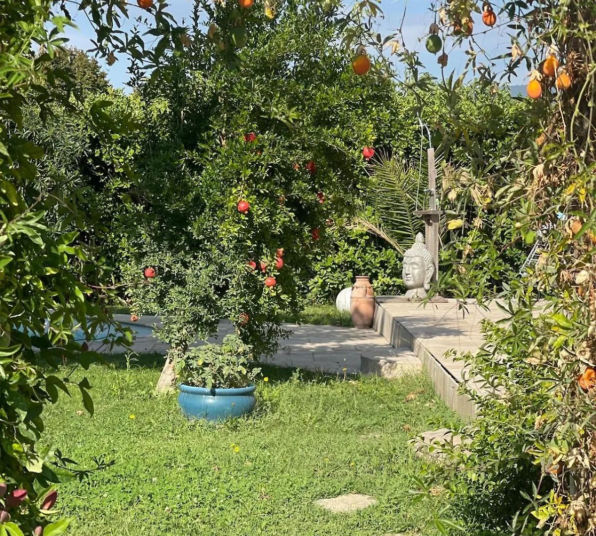 Confortable Villa With Pool 4Br 6-8 People Montelimar Holiday home